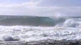 Cowries  Big Day  Shellharbour [upl. by Adnael]