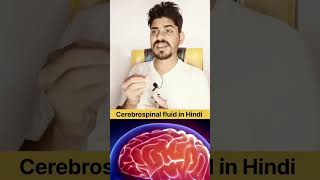 Cerebrospinal fluid in Hindi and Function brain anatomy skål [upl. by Yffub]