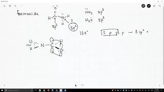 hybridization formamide [upl. by Thor441]