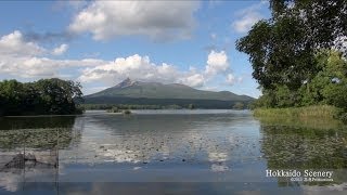 大沼国定公園 北海道 Onuma QuasiNational Park Hokkaido JAPAN [upl. by Hoxsie734]