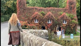 Enchanted Autumn part 2 autumn foliage misty mountains and cosy cottage hedgerow wreath making [upl. by Albie368]