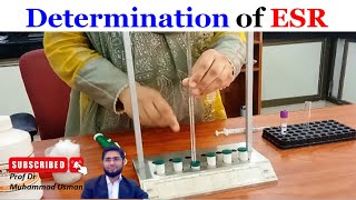 Determination of Erythrocyte Sedimentation Rate ESR  ESR measurement  Physiology practical [upl. by Mchale]