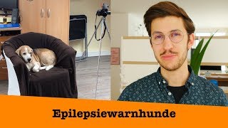 Epilepsiewarnhunde  Beeindruckende Fähigkeiten [upl. by Deelaw32]