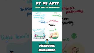 Decoding Blood Clotting PT vs aPTT Blood Tests Explained with Mnemonics neetpg usmle inicet [upl. by Vidovic]