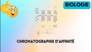 chromatographie daffinité biologie [upl. by Nella]