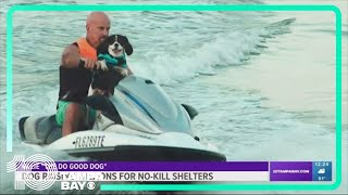 Jet ski riding dog raising money for nokill shelters [upl. by Avruch]