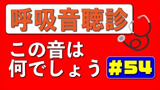 【54日目】毎日1分！こっそり呼吸音の聴診ができるようになりませんか？ [upl. by Ahseral]