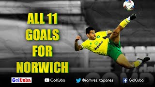 ONEL HERNÁNDEZ  All GOALS for NORWICH CITY before moving to MIDDLESBROUGH  GolCuba 2021 [upl. by Naivad298]