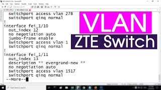 How to configure VLAN on the ZTE Switch  NETVN [upl. by Richart]