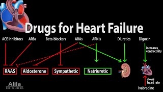 Pharmacology Drugs for Heart Failure Animation [upl. by Eirehc609]