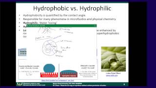 BioMEMS Module 4A  Patterning Cells Proteins and Surface Chemistry [upl. by Kravits44]