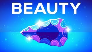 Why Beautiful Things Make us Happy – Beauty Explained [upl. by Jacques420]