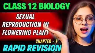 Sexual Reproduction in Flowering Plants Rapid Revision 🔥 Full Revision in 30 Min  Class 12 Boards [upl. by Yurik]