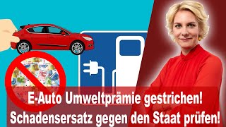 Wegfall der EAuto Kaufprämie Umweltbonus  Schadenersatzansprüche gegen den Staat [upl. by Rimhsak429]