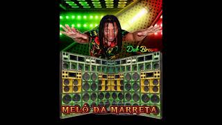 REGGAE LIMPOMELÔ DA MARRETA DUB BROWN [upl. by Niraj851]