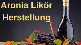 ⭐⭐ Aronia Likör selber herstellen  schnelles Aronia Likör Rezept ⭐⭐ [upl. by Ardnaeed]