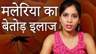 मलेरिया का बेतोड़ इलाज │ Malaria Ka Gharelu Ilaj │ Imam Dasta │ Malaria Cure With Home Remedies [upl. by Akcimat]