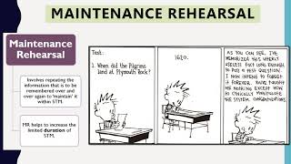 Context amp State Dependent Cues Maintenance amp Elaborative Rehearsal and Serial Position Effect [upl. by Alieka]