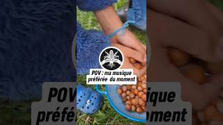 Que font ces petits écureuils  🐿🥜🌲 [upl. by Sebastien462]