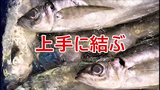 これから釣りをはじめる！その１強さを倍増させる、重要なのは上手に糸を結ぶ【４選】 [upl. by Rhona]