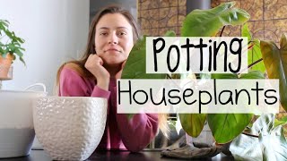 Houseplant Haul amp Repotting Repotting Indoor Plants amp Pottery Haul [upl. by Cade43]