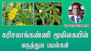 கரிசலாங்கண்ணி மருத்துவ பயன்கள்  Karisalankanni medicinal uses [upl. by Lucio]