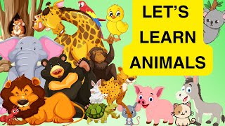 Learning Animals for kids and toddlers Farm Animals Zoo animals Animal sounds educational videos [upl. by Oidualc]