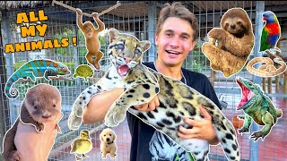 ALL MY EXOTIC ANIMALS IN ONE VIDEO  FULL ZOO TOUR [upl. by Hsiri416]