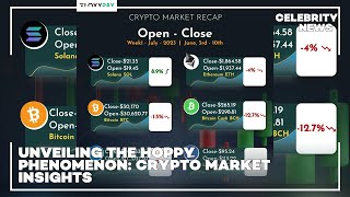 Unveiling the Hoppy Phenomenon Crypto Market Insights [upl. by Sandry328]