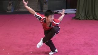 Wushu Eagle Style Form  Instructional [upl. by Cryan644]