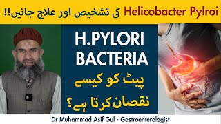 What is Helicobacter Pylori  Gastric ulcer  Causes  Signs and Symptoms of H Pylori [upl. by Olia]