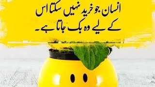 Best golden words in urdu  Urdu motivational quotes  Urdu daily life poetry [upl. by Enairb185]