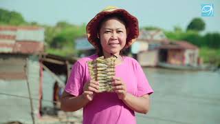 Tonle Sap livelihoods project [upl. by Pacificia15]