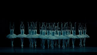 360° SCHWANENSEE  Staatsballett Berlin [upl. by Soane562]