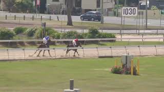 Gympie 20240921 Race 1 [upl. by Ayita]