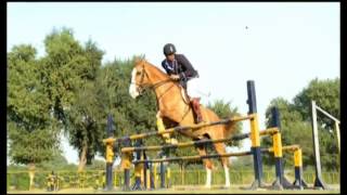 Riding at Aitchison College [upl. by Norrahc790]