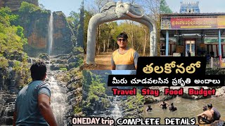 Talakona waterfall  Talakona  Tirupati  AP Tourism  Andhra Pradesh [upl. by Oelak895]