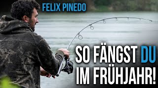 Karpfenangeln im Frühjahr  Felix Pinedo machts vor [upl. by Ordnas]