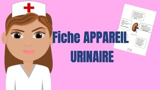 Fiche de révision appareil urinaire Gratuit  aide soignant [upl. by Laohcin]