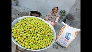 Amla Murabba Recipe Prepared By My Granny  आंवला मुरब्बा  Amla Murabba Banane ki vidhi  recipes [upl. by Akihsat693]