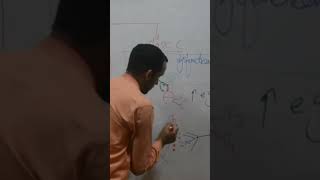 Pathophysiology for Nurses science chemistry class neet nursinglecturewithimtiaz immunesystem [upl. by Nnyltak219]