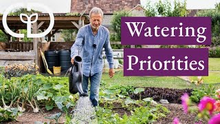 Which vegetables most benefit from water and when [upl. by Aramak]