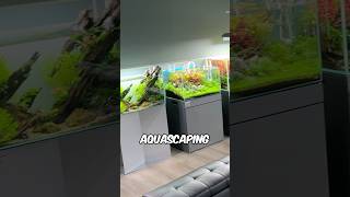 Beautiful Aquascape Ideas For Your Next Planted Aquarium Setup Beginner To Expert Level Tanks [upl. by Yroj382]