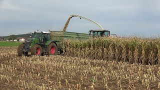 Mais 2024 LU Norbert Mäser Claas Jaguar 970 mit verschiedenen Abfahrern in der Wetterau [upl. by Mile389]