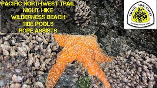 Night Hiking Wilderness Beach Washington  Tide Pools  Rope Assisted Dune Climbs Driftwood  PNT [upl. by Delainey]