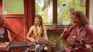 Three Nyckelharpa built by Esbjörn Hogmark  3 amp 4 row [upl. by Eenahc]