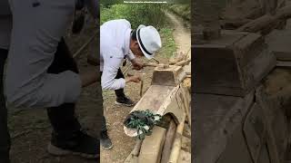 ये आदमी लड़की से बनी bike चलाता है  wooden bike  shortsvideo [upl. by Absa212]