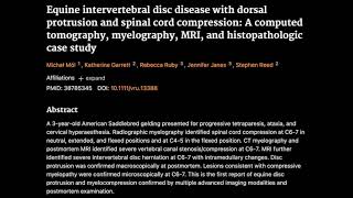 14 Equine intervertebral disc disease with dorsal protrusion and spinal cord compression [upl. by Odraboel]