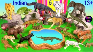 Indian Animals Tiger Elephant Crocodile Leopard Gharial Turtle Blackbuck Nilgai Mugger Crocodile 13 [upl. by Halsted]