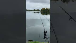 carp carpfishing camo fox rods water fortheboys lake fishing music [upl. by Roxi]